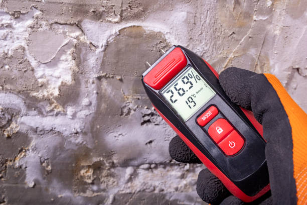 Best Mold Testing  in Lake Shore, MD